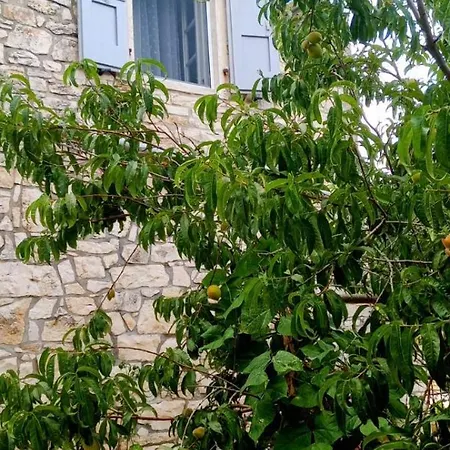 Makris Holiday home