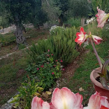Makris Σπίτι διακοπών Zenempisatika