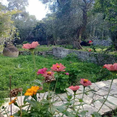 Makris Zenempisatika