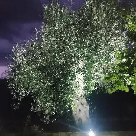Makris Hébergement de vacances Zenempisatika